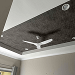 Install ceiling fan in Naples