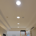 Replace emergency ballast in 2x2 fixture in Bonita Springs.