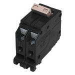 Double-Pole-Circuit-Breakers-Services-in-Florida-3222023