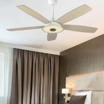 Standard-Ceiling-Fan-Installation-Services-in-Florida-3823