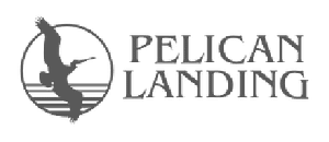 pelican-landing-community-association-florida-1