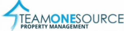 team-one-source-logo